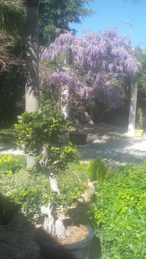 Villa Amadeus Xabia Balcon del Mar Eksteriør billede