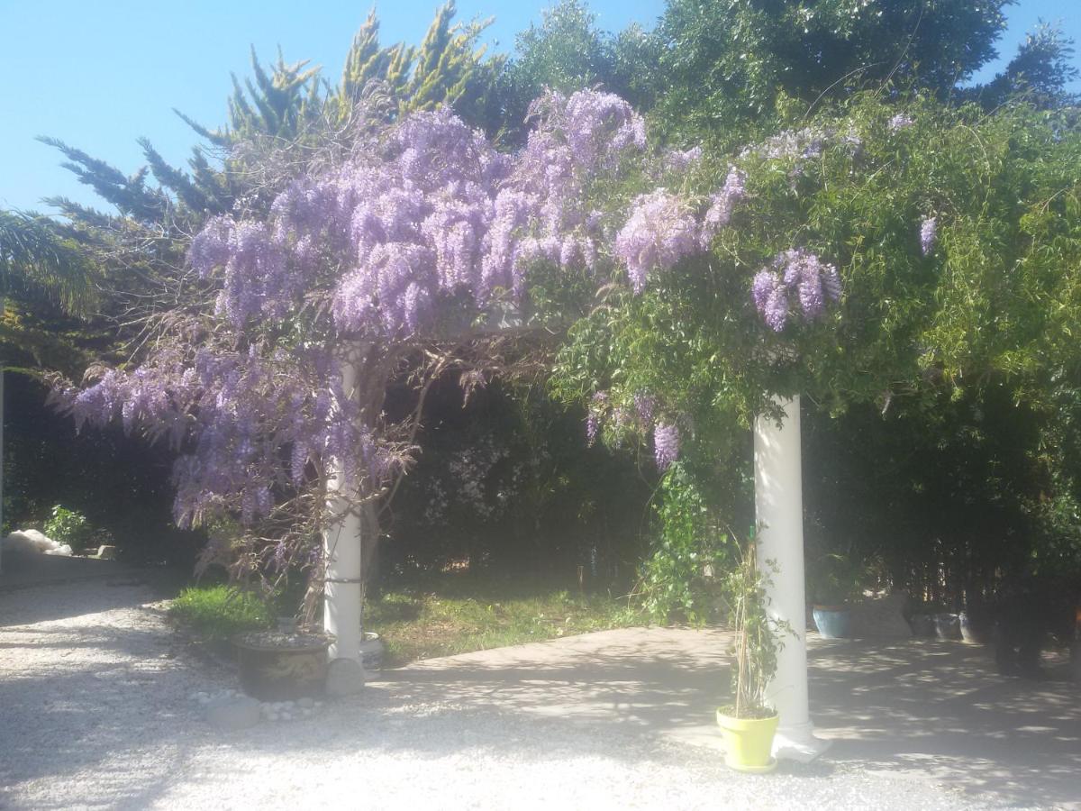 Villa Amadeus Xabia Balcon del Mar Eksteriør billede