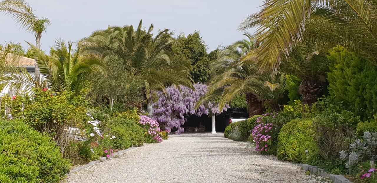 Villa Amadeus Xabia Balcon del Mar Eksteriør billede